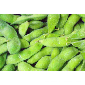 IQF gefrorene edamame IQF Sojabohne